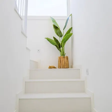 5br With Pool | Fonte Da Telha *